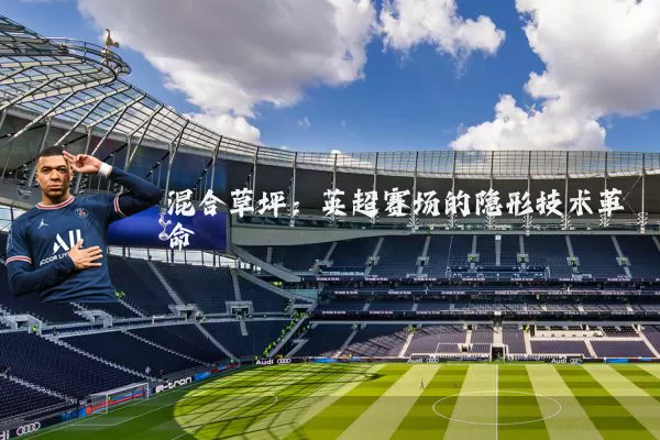 混合草坪:英超赛场的隐形技术革命